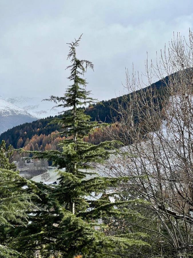 Il Pettirosso - Casa Vacanze Bormio Exteriör bild